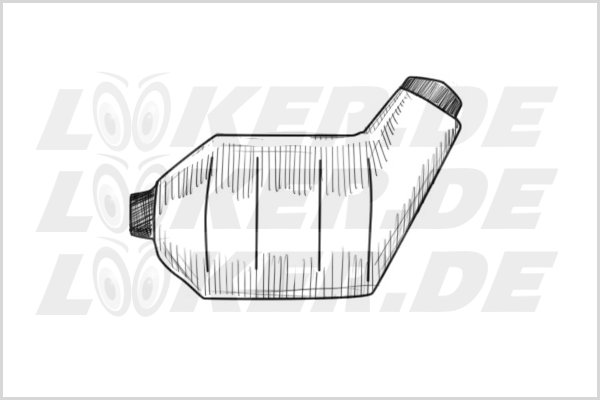 Catalytic converter Ford 40 - L Class