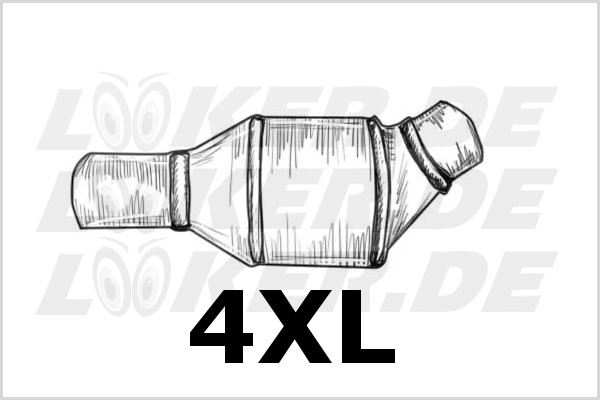 02 Diesel particulate filter (DPF) 4XL