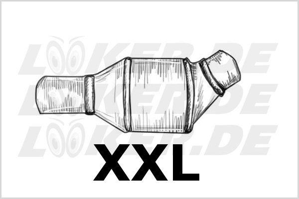 04 Ceramic catalytic converter, Diesel particulate filter (DPF) XXL